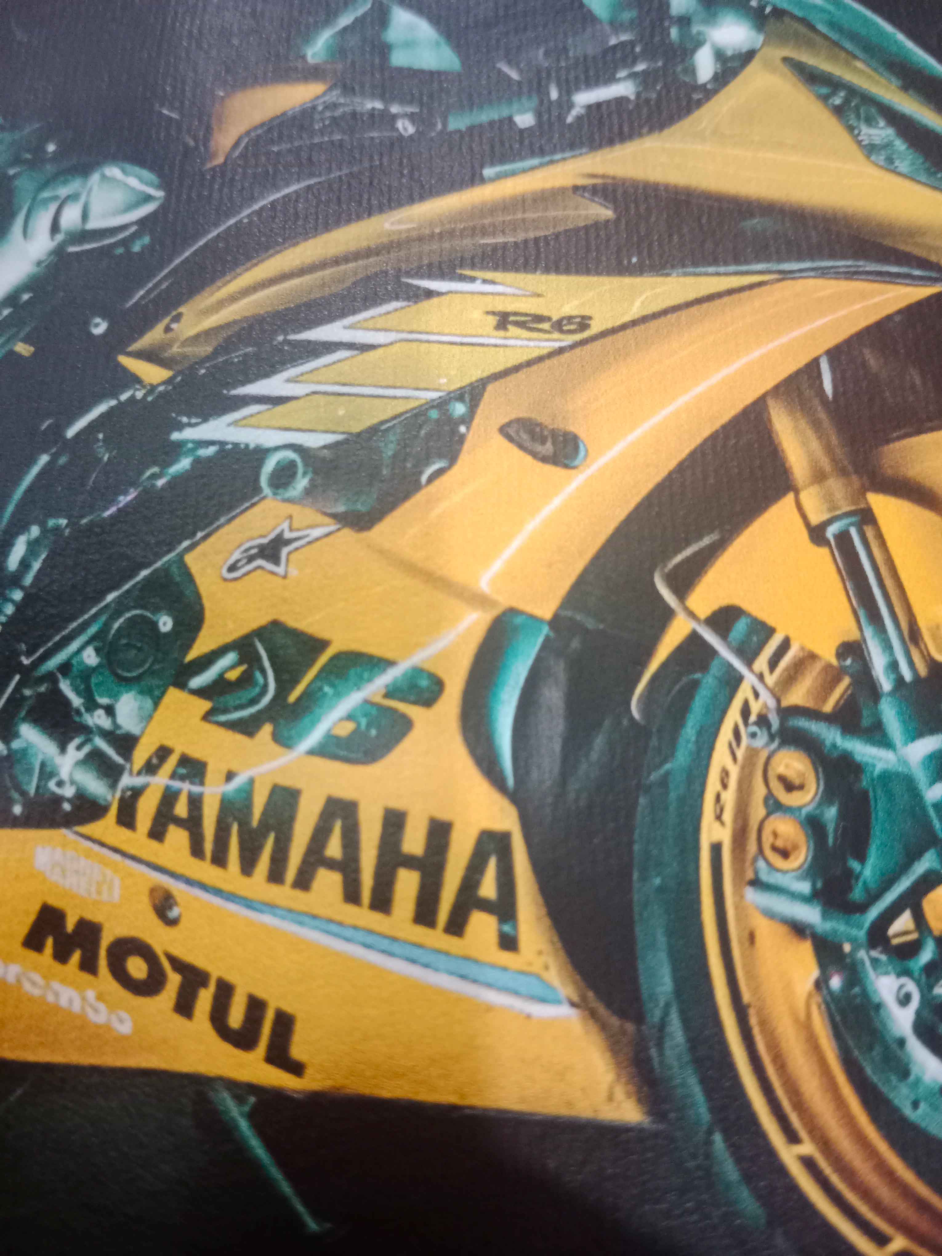 Yamaha Bike Racing